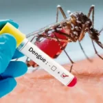 Dengue: Sintomas, Precauções e Alívio