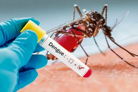 Dengue: Sintomas, Precauções e Alívio