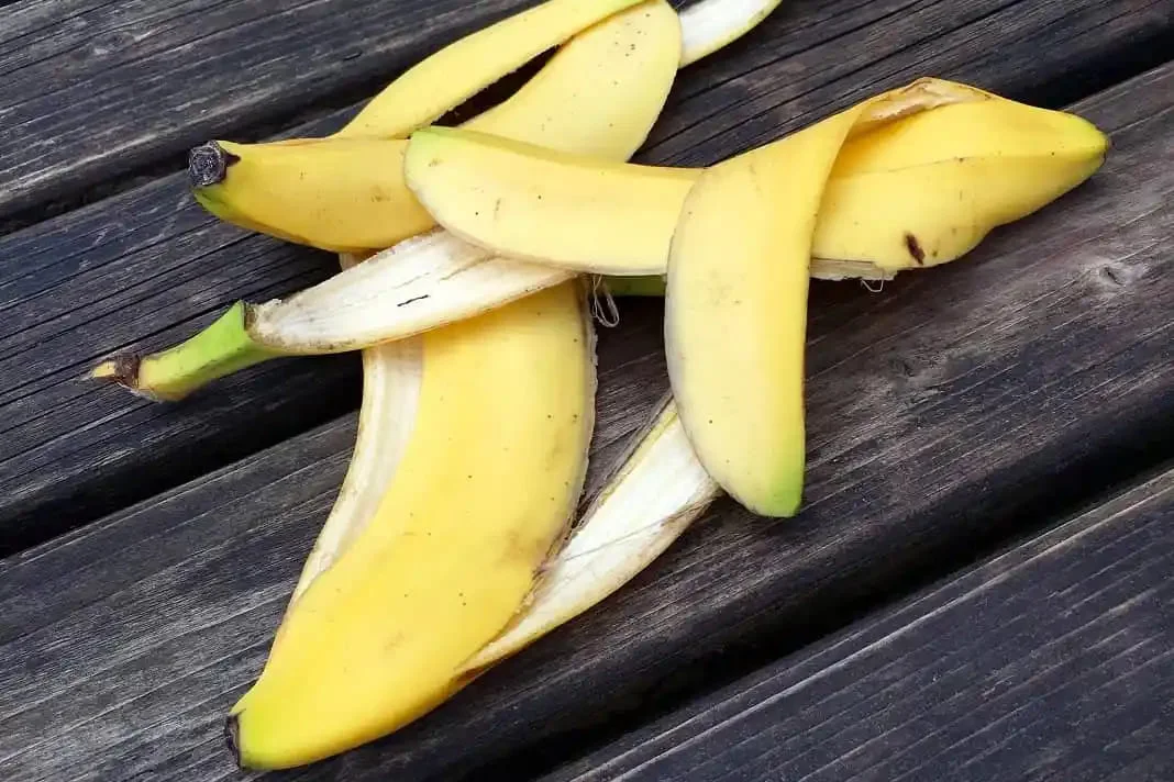 Os Benefícios Nutricionais da Casca de Banana