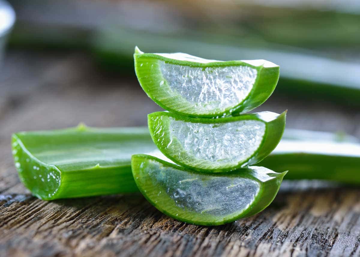 Babosa: 10 Benefícios Principais e Como Usar