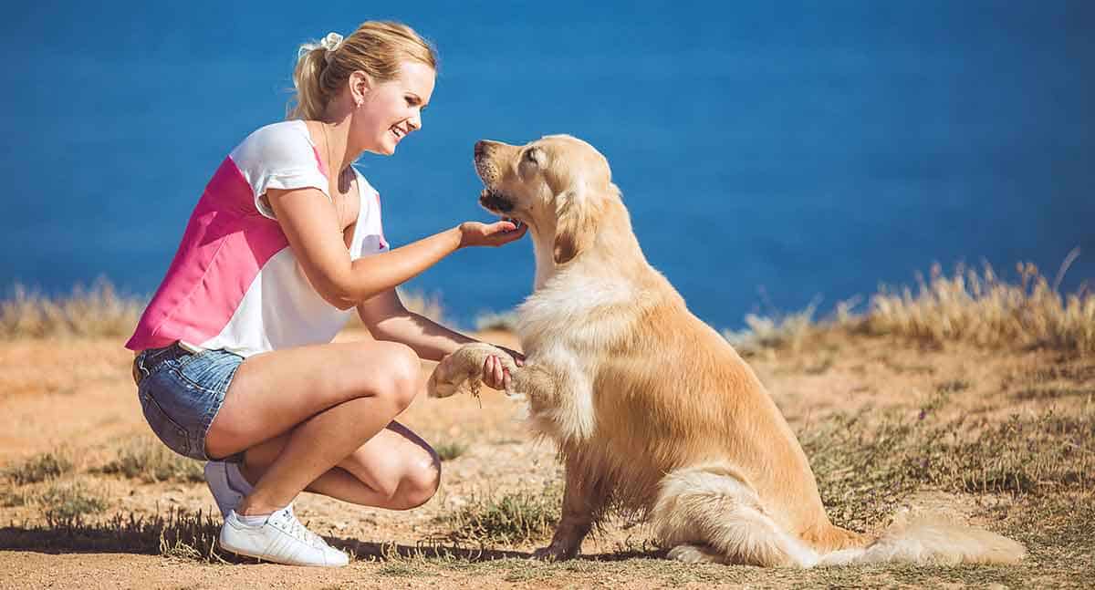 10 Benefícios dos Animais de Estimação para a Saúde Física e Mental