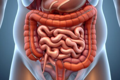 Infecção intestinal: sintomas e tratamentos eficazes para sua saúde