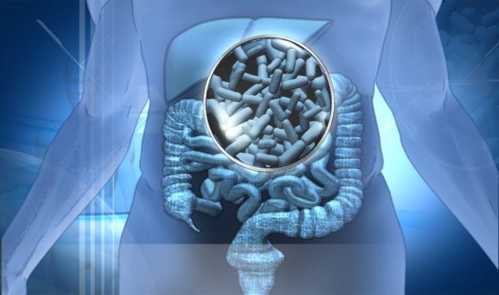 6 Dicas Simples Para Aliviar o Intestino Preso e Melhorar Sua Digestão