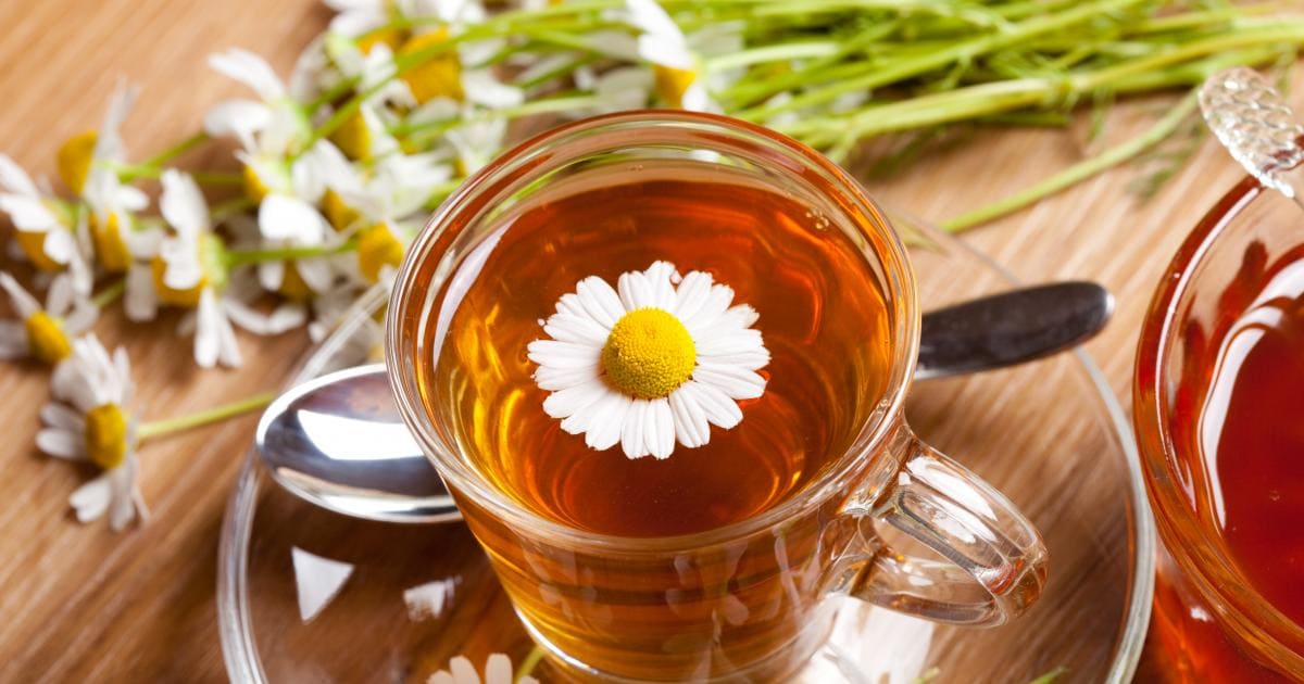 Descubra os Incríveis Benefícios do Chá de Camomila para a Saúde e Bem-Estar