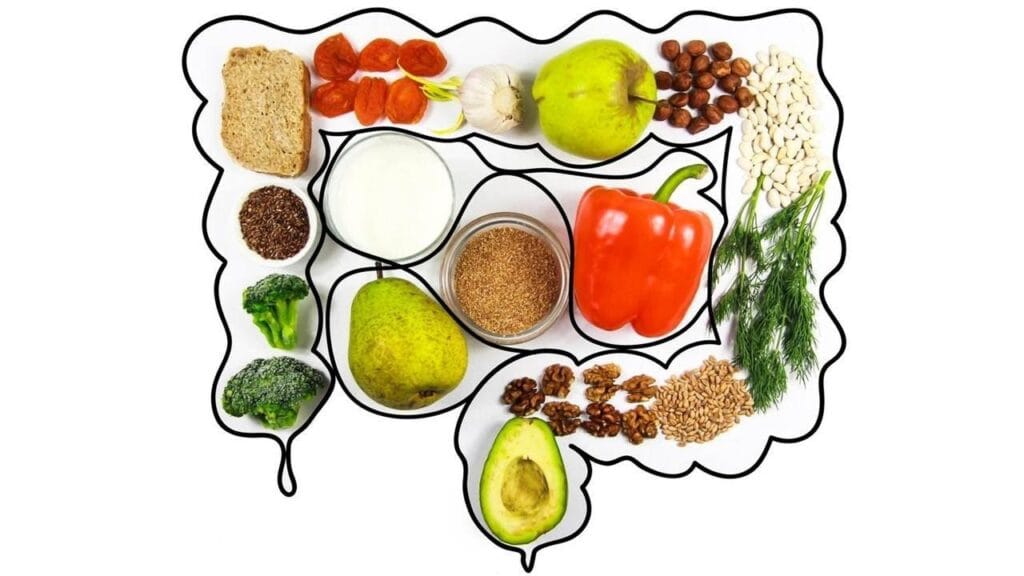 6 Dicas Simples Para Aliviar o Intestino Preso e Melhorar Sua Digestão