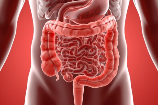 Imagem em 3D do sistema digestivo com foco no intestino inflamado, estilo moderno, educativo e profissional para blog de saúde."