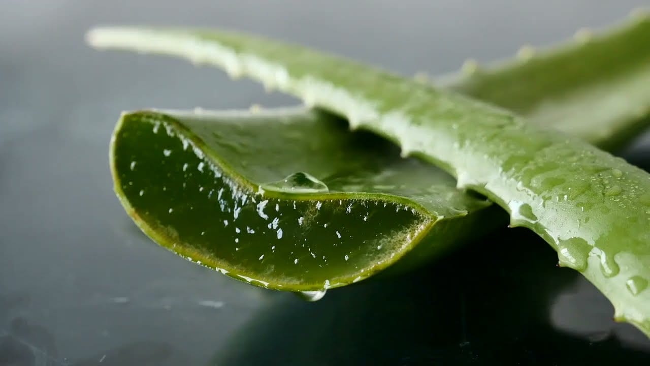 Oleo de baboza como fazer, Veja dicas e como usar na pele e no cabelo