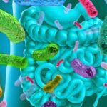Infecção Intestinal: Tudo o Que Você Precisa Saber para Identificar Tratar e Prevenir