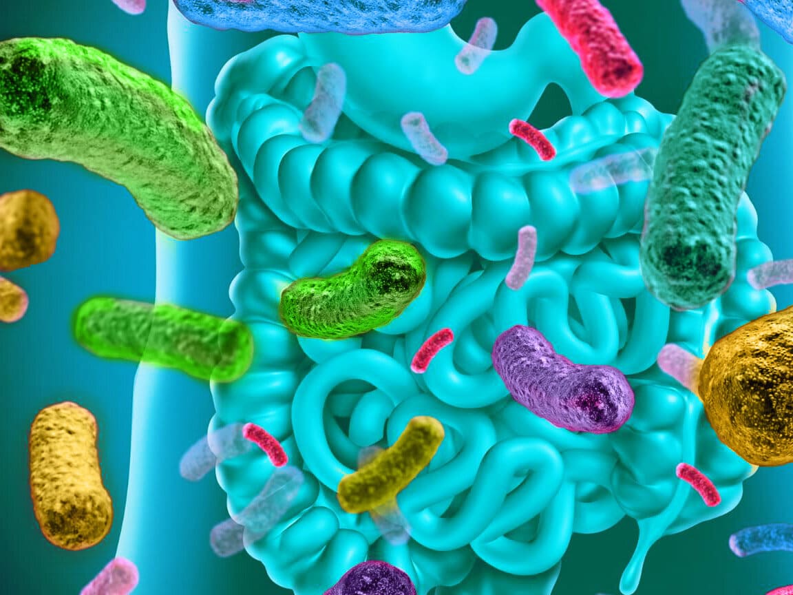 Infecção Intestinal: Tudo o Que Você Precisa Saber para Identificar Tratar e Prevenir