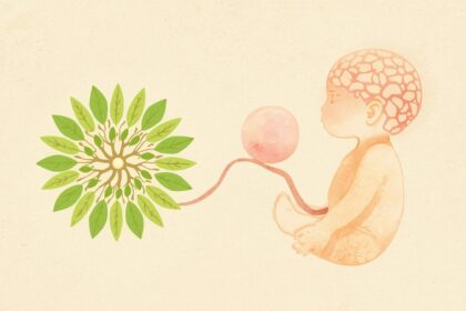 Ácido Fólico Constrói sua Saúde Todos os Dias