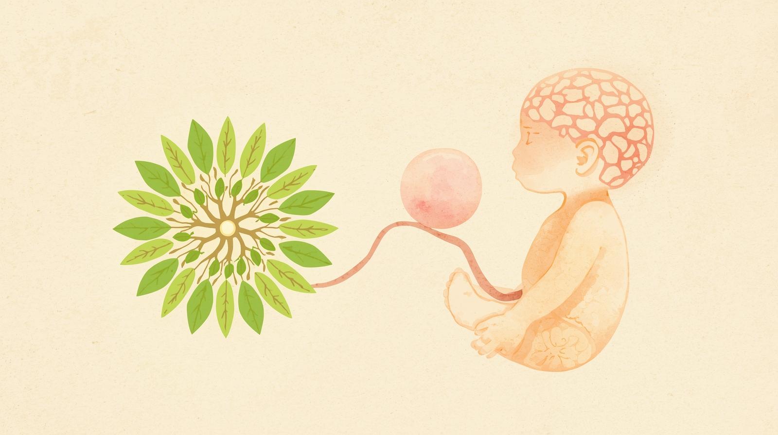 Ácido Fólico Constrói sua Saúde Todos os Dias