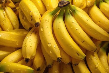 Banana: A Surpreendente Jornada da Fruta Mais Popular do Mundo até a Sua Mesa