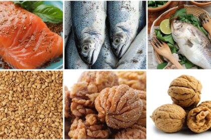 10 Alimentos Ricos em Omega 3 Para Sua Dieta Diária
