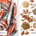 Omega 3 Vegetal vs Animal: Qual a Melhor Fonte Para Você?